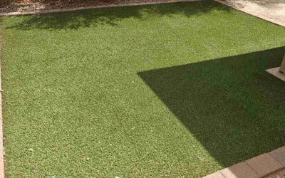 Photo of Mike J.'s yard after getting landscaping in Chandler Heights, AZ