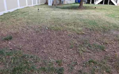Photo of May A.'s yard after getting landscaping in Dowell, MD