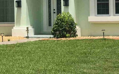 Photo of Joseph M.'s yard after getting tree care in Spring Hill, FL