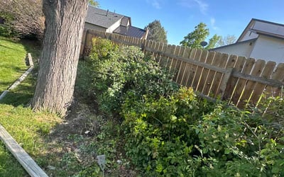 Photo of Mary S.'s yard after getting landscaping in Idledale, CO