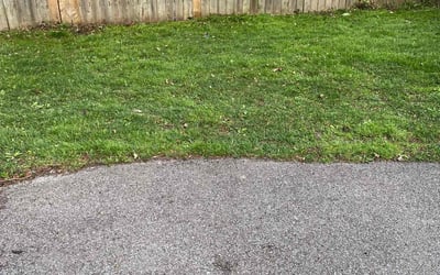 Photo of Napthal S.'s yard after getting landscaping in Hilton, NY