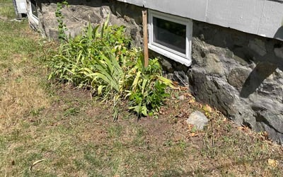Photo of Damion L.'s yard after getting lawn care in Winchester, MA