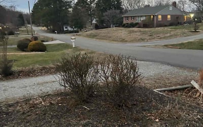 Photo of Caitlin W.'s yard after getting landscaping in Fort Lee, VA