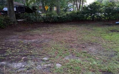 Photo of David G.'s yard after getting landscaping in Slidell, LA