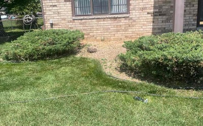 Photo of Keith S.'s yard after getting landscaping in Utica, MI
