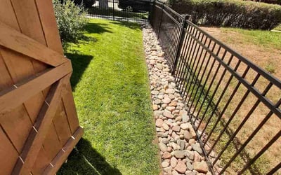 Photo of Donna L.'s yard after getting tree care in Denver, CO