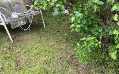 Photo of Sandra T.'s yard after getting landscaping in Oregon, OH