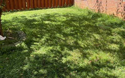 Photo of RYAN T.'s yard after getting lawn care in Purcellville, VA