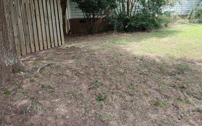 Photo of Heather S.'s yard after getting landscaping in Travelers Rest, SC