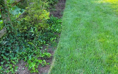 Photo of Jonathan W.'s yard after getting landscaping in Adamstown, MD