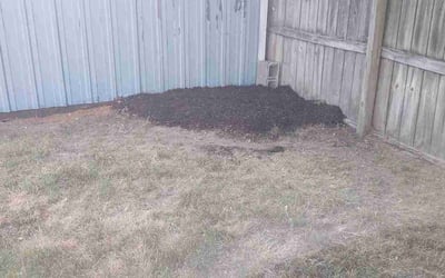 Photo of Elizabeth L.'s yard after getting landscaping in Greenville, MI