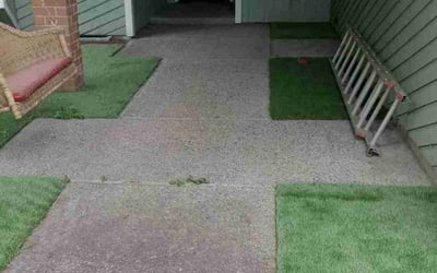 Photo of Brian B.'s yard after getting landscaping in Scappoose, OR