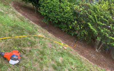 Photo of Mary M.'s yard after getting landscaping in Worcester, MA