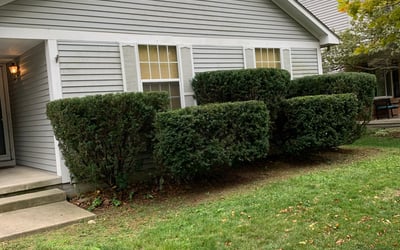 Photo of Brian B.'s yard after getting landscaping in Galena, OH