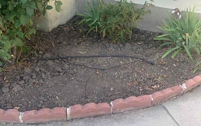 Photo of Carol M.'s yard after getting landscaping in Calabasas, CA