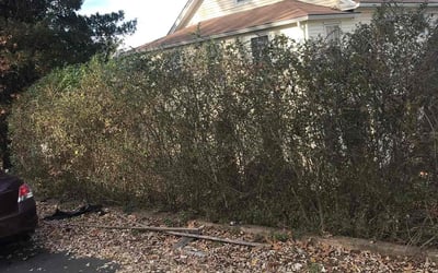 Photo of Robert K.'s yard after getting landscaping in Tolland, CT