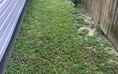 Photo of Courtney M.'s yard after getting landscaping in Fort Eustis, VA
