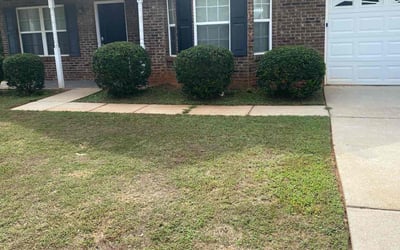 Photo of Tonya M.'s yard after getting tree care in Riverdale, GA