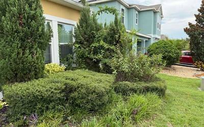 Photo of Gerald R.'s yard after getting tree care in Altoona, FL