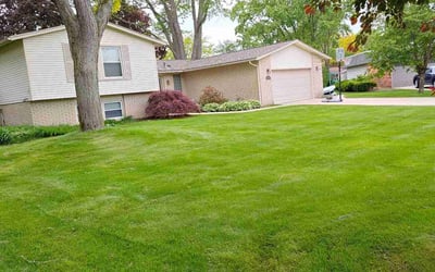Photo of Shawn F.'s yard after getting tree care in Rochester, MI