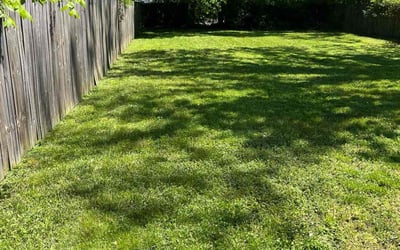 Photo of Bryan P.'s yard after getting landscaping in New Point, VA