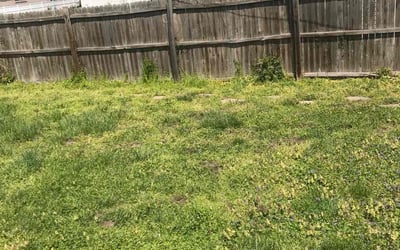Photo of Patti S.'s yard after getting landscaping in Washington, MO