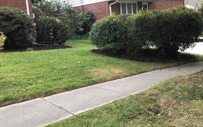 Photo of Scott S.'s yard after getting landscaping in Montgomery Village, MD