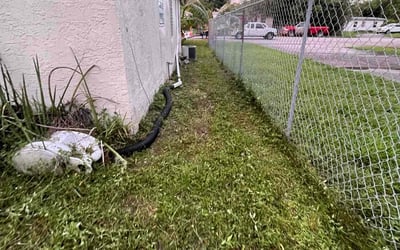 Photo of Elliott H.'s yard after getting landscaping in Pompano Beach, FL