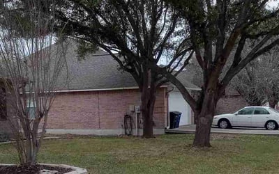 Photo of Mary R.'s yard after getting landscaping in Charlotte, TX