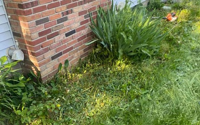 Photo of Alicia O.'s yard after getting landscaping in Webster, NY