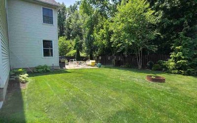 Photo of Flora F.'s yard after getting lawn care in Sheffield Lake, OH