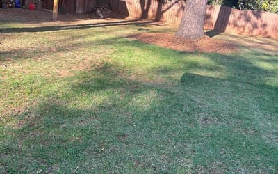 Photo of Amy E.'s yard after getting landscaping in Blackstock, SC