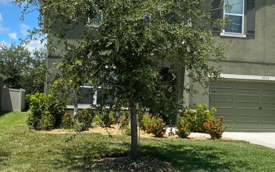 Photo of Mark H.'s yard after getting landscaping in Scottsmoor, FL
