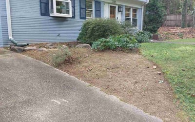 Photo of Megan C.'s yard after getting tree care in Bethesda, MD