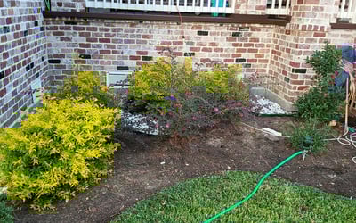 Photo of Susan B.'s yard after getting landscaping in Devers, TX