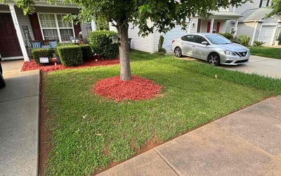 Photo of Jocquelyn D.'s yard after getting landscaping in Charlotte, NC