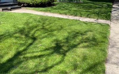 Photo of Ross S.'s yard after getting lawn care in Kenosha, WI