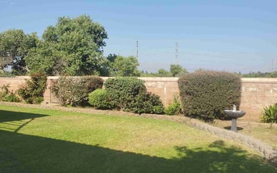 Photo of Frank T.'s yard after getting landscaping in Pala, CA