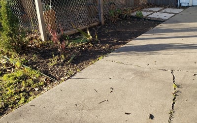 Photo of Joseph S.'s yard after getting landscaping in Sweeny, TX