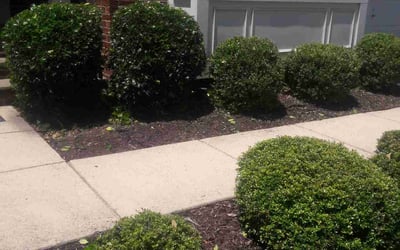 Photo of Kevin V.'s yard after getting landscaping in Montgomery Village, MD