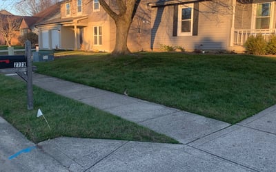 Photo of Jesse B.'s yard after getting landscaping in Cicero, IN