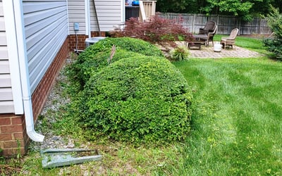 Photo of Austin C.'s yard after getting landscaping in Beaverdam, VA