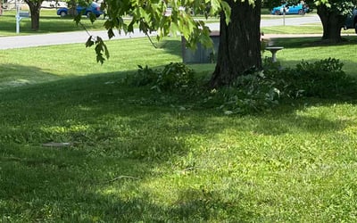 Photo of Scott K.'s yard after getting landscaping in Verona, KY
