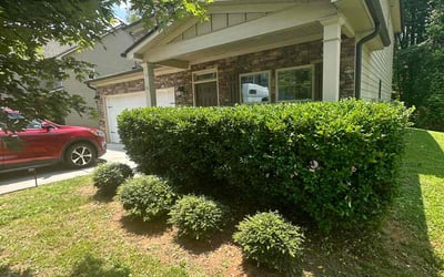 Photo of Destiny H.'s yard after getting landscaping in Hampton, GA