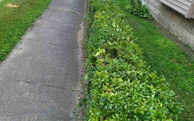 Photo of Megan H.'s yard after getting landscaping in Norton, MA