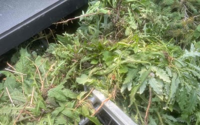 Photo of Chris M.'s yard after getting landscaping in Saint Francis, WI