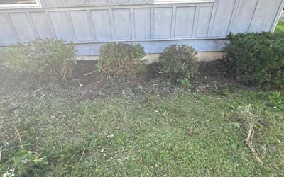 Photo of Stephen B.'s yard after getting landscaping in Charlotte, MI