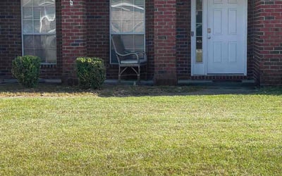 Photo of Justin G.'s yard after getting landscaping in Jay, FL