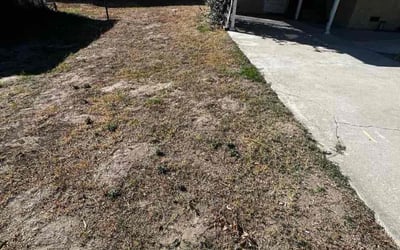 Photo of Lisa J.'s yard after getting landscaping in Apple Valley, CA