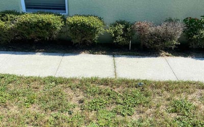 Photo of Ron B.'s yard after getting landscaping in Loughman, FL